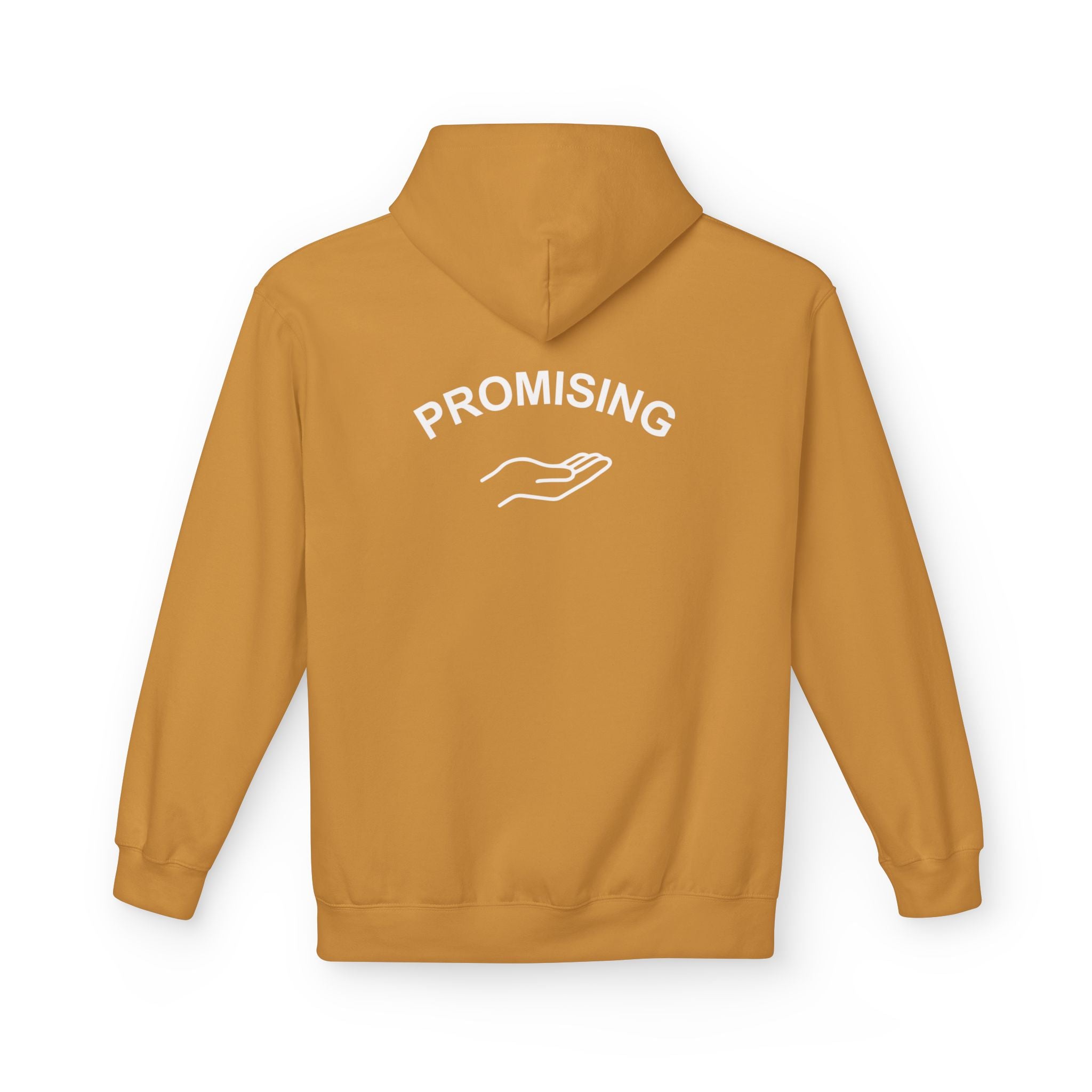 "PROMISING" Premium Mid-weight Hoodie- M.💡.S.H. Limited