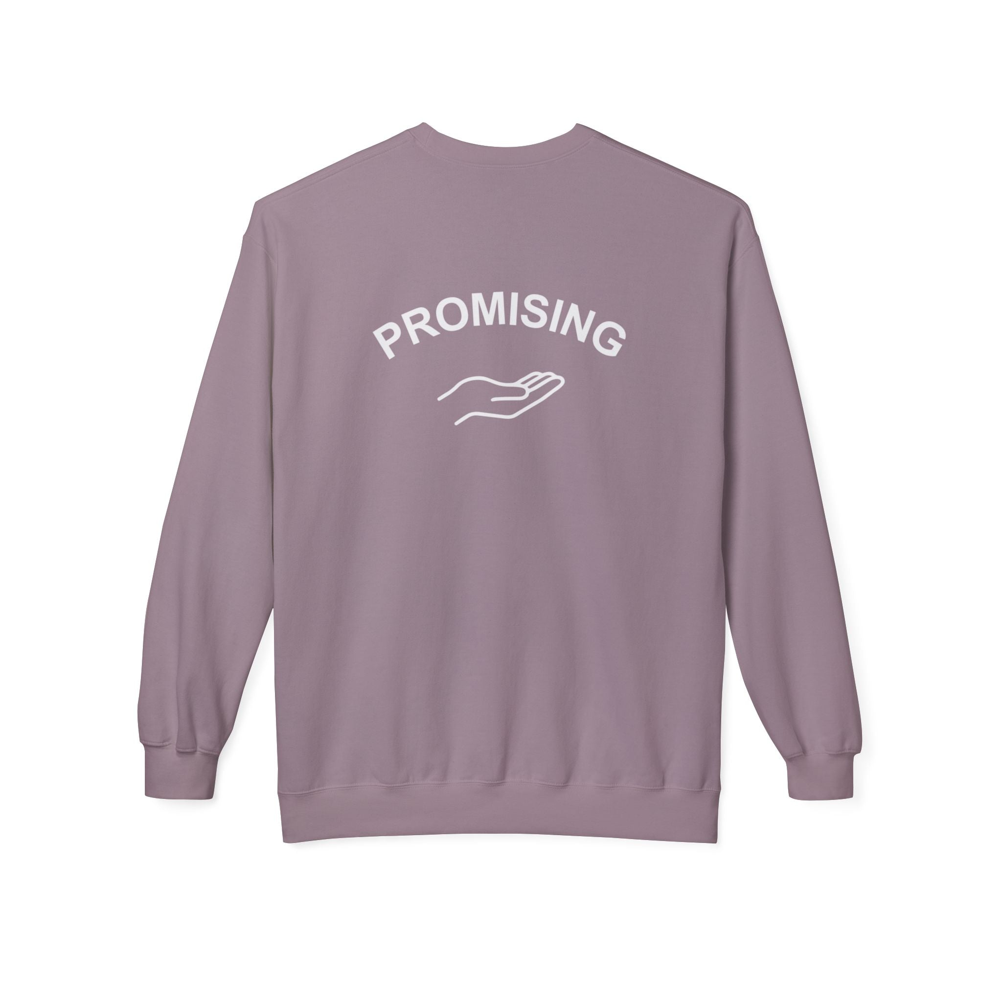 "PROMISING" Premium mid-weight pullover- M.💡.S.H. Limited