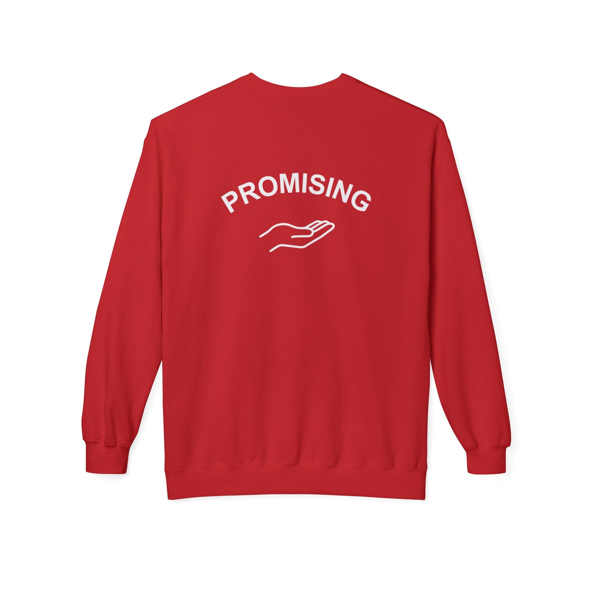 "PROMISING" Premium mid-weight pullover- M.💡.S.H. Limited